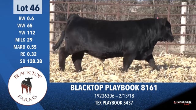 Lot #46 - BLACKTOP PLAYBOOK 8161