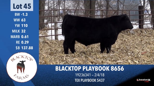 Lot #45 - BLACKTOP PLAYBOOK 8656