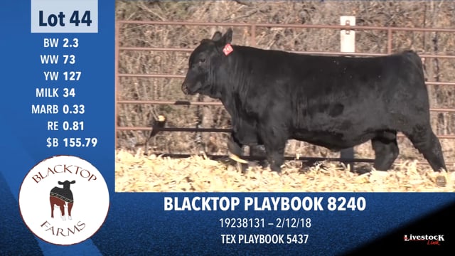 Lot #44 - BLACKTOP PLAYBOOK 8240