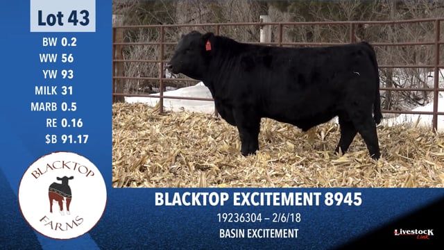 Lot #43 - BLACKTOP EXCITEMENT 8945