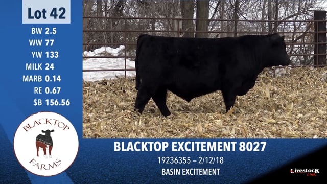 Lot #42 - BLACKTOP EXCITEMENT 8027