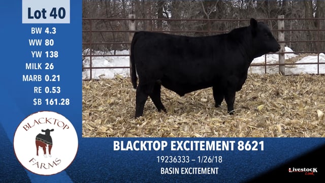 Lot #40 - BLACKTOP EXCITEMENT 8621