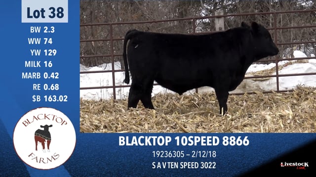Lot #38 - BLACKTOP 10SPEED 8866