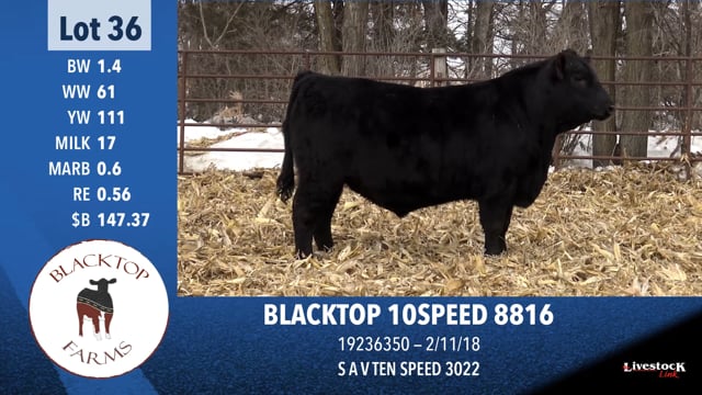 Lot #36 - BLACKTOP 10SPEED 8816
