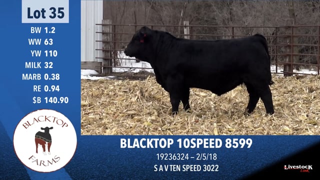 Lot #35 - BLACKTOP 10SPEED 8599