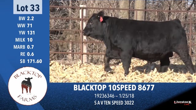 Lot #33 - BLACKTOP 10SPEED 8677