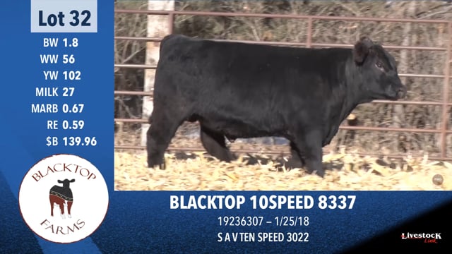 Lot #32 - BLACKTOP 10SPEED 8337