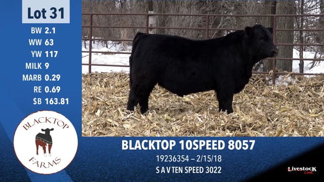 Lot #31 - BLACKTOP 10SPEED 8057