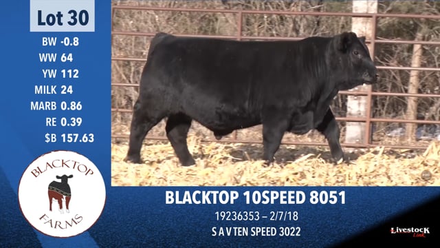 Lot #30 - BLACKTOP 10SPEED 8051