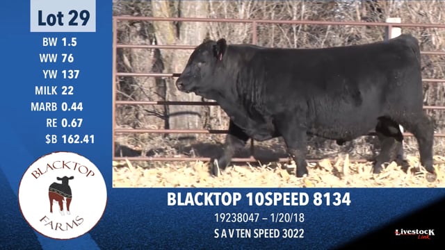 Lot #29 - BLACKTOP 10SPEED 8134