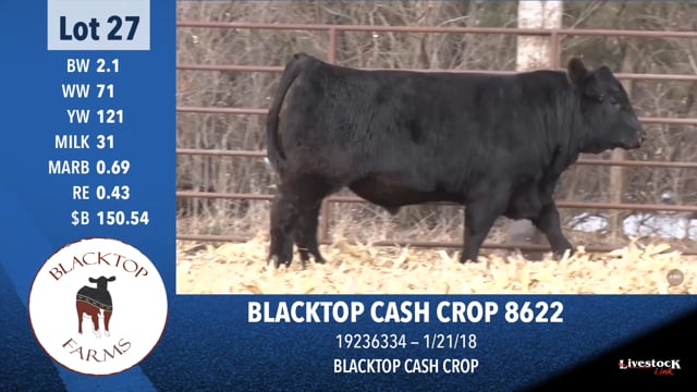 Lot #27 - BLACKTOP CASH CROP 8622