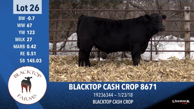 Lot #26 - BLACKTOP CASH CROP 8671