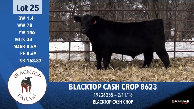 Lot #25 - BLACKTOP CASH CROP 8623