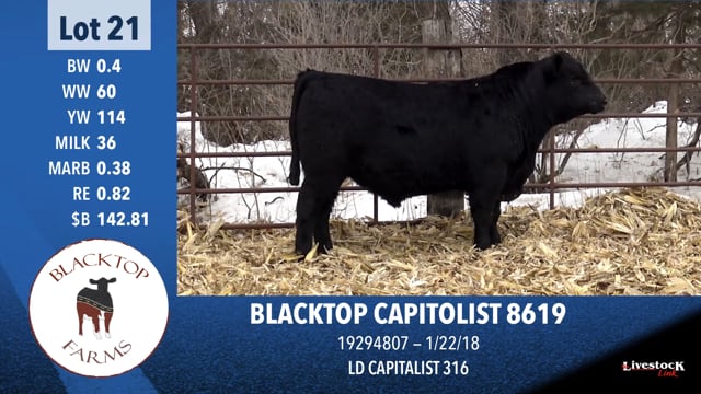 Lot #21 - BLACKTOP CAPITOLIST 8619