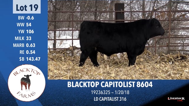 Lot #19 - BLACKTOP CAPITOLIST 8604