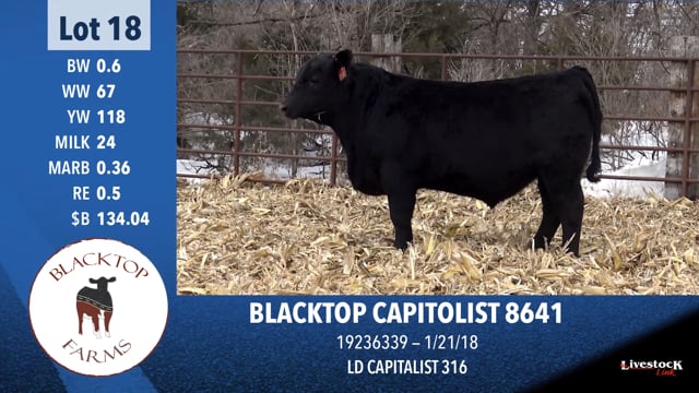 Lot #18 - BLACKTOP CAPITOLIST 8641