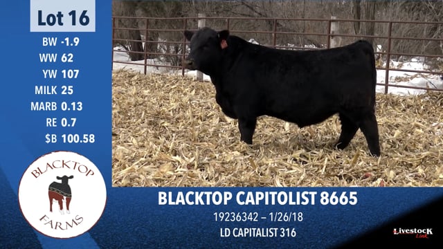 Lot #16 - BLACKTOP CAPITOLIST 8665