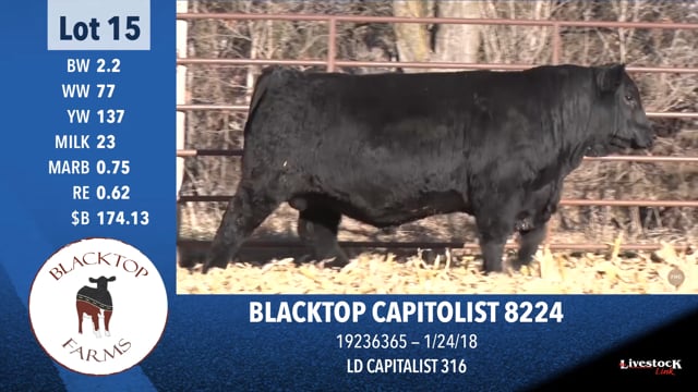 Lot #15 - BLACKTOP CAPITOLIST 8224