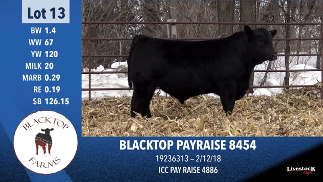 Lot #13 - BLACKTOP PAYRAISE 8454