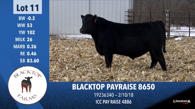 Lot #11 - BLACKTOP PAYRAISE 8650