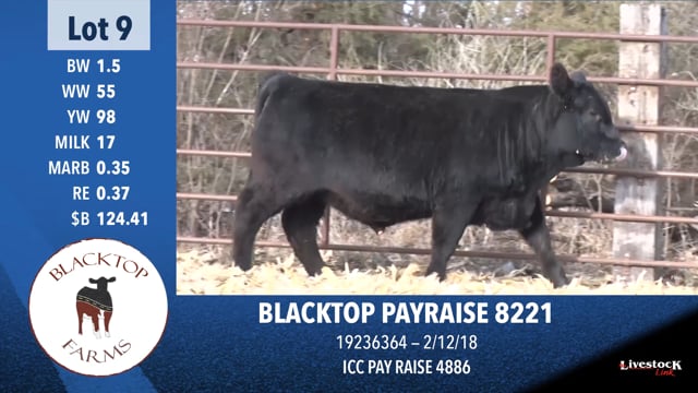 Lot #9 - BLACKTOP PAYRAISE 8221