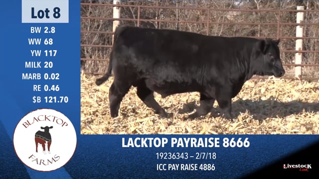 Lot #8 - BLACKTOP PAYRAISE 8666