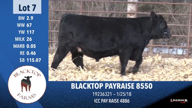 Lot #7 - BLACKTOP PAYRAISE 8550