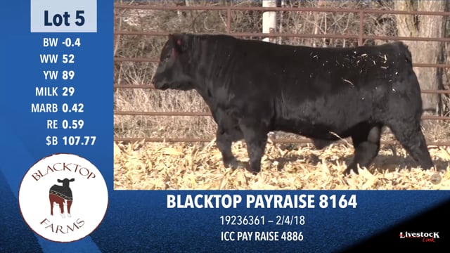 Lot #5 - BLACKTOP PAYRAISE 8164