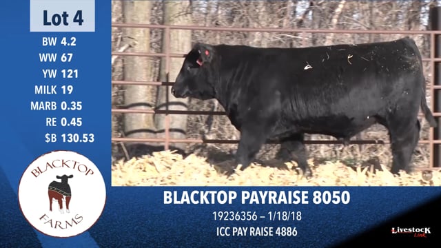 Lot #4 - BLACKTOP PAYRAISE 8050