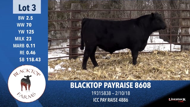 Lot #3 - BLACKTOP PAYRAISE 8608
