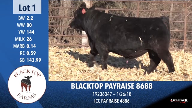 Lot #1 - BLACKTOP PAYRAISE 8688