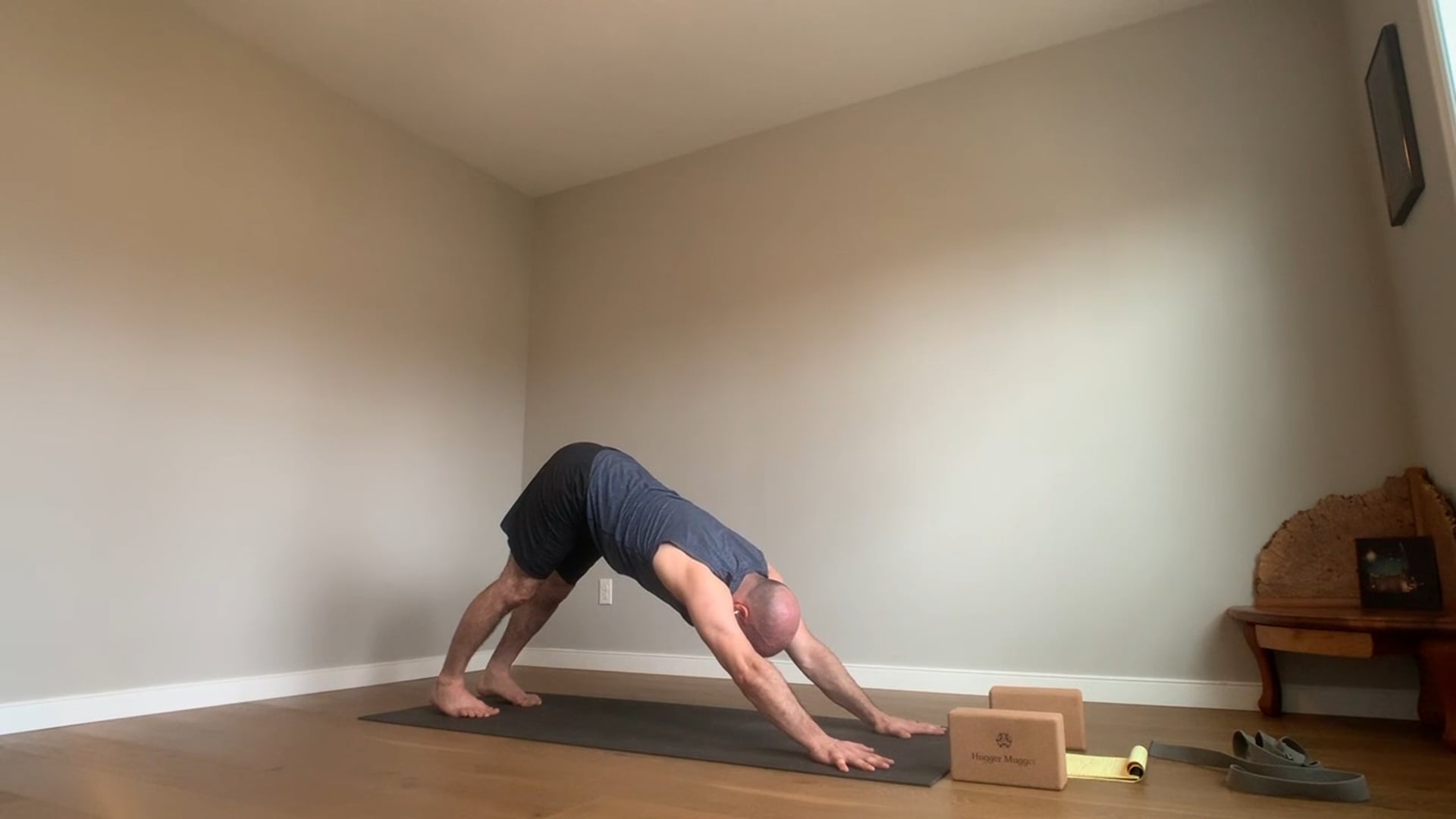 20 min Level 1 Hatha and Slow Flow