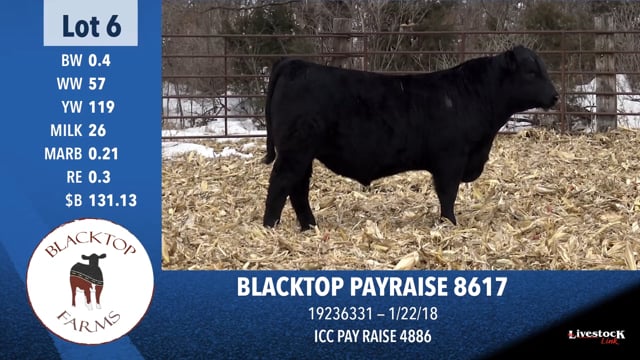 Lot #6 - BLACKTOP PAYRAISE 8617