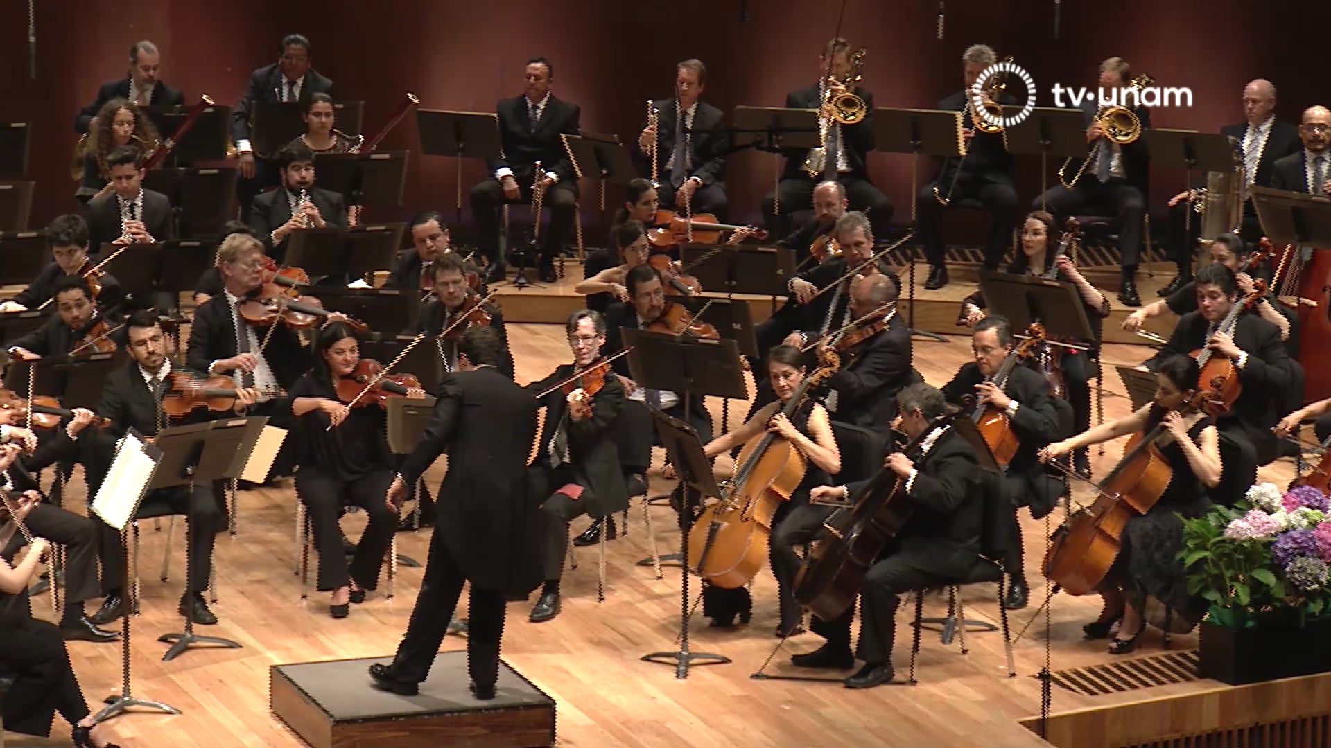 Dvorak - Symphony No. 9 in E minor 'From the New World', Op. 95