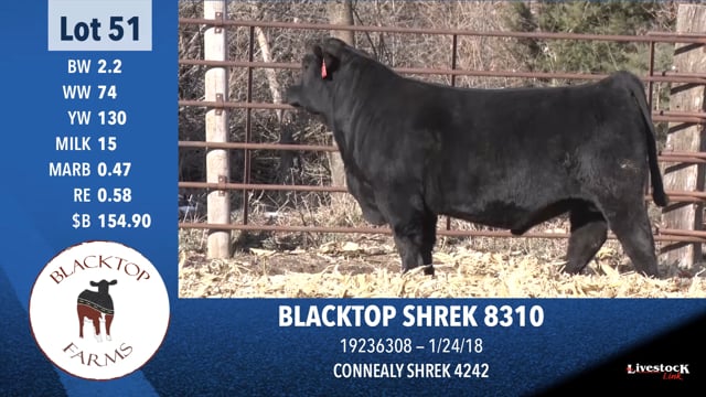 Lot #51 - BLACKTOP SHREK 8310