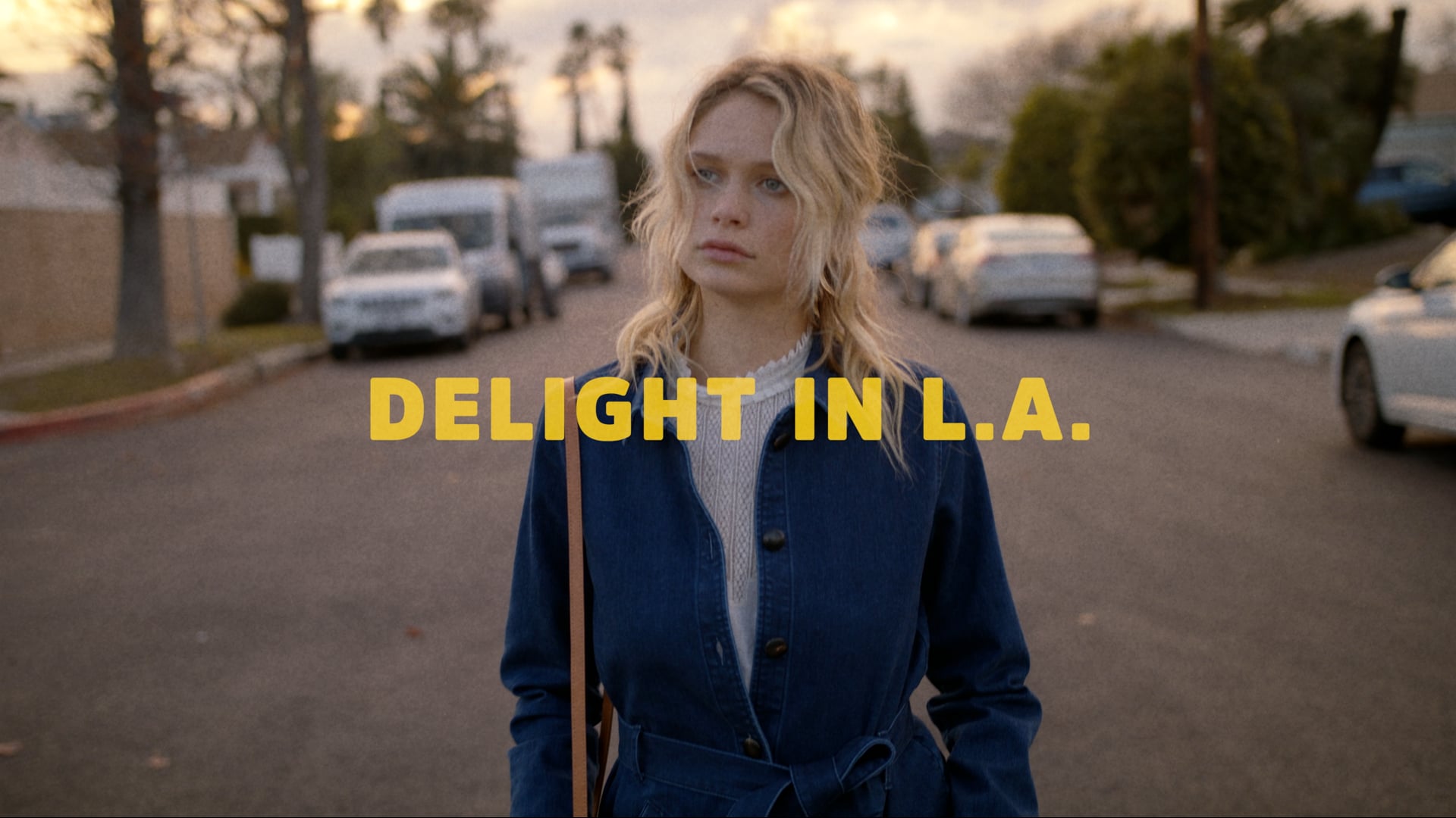 DELIGHT IN L.A. - Director’s cut