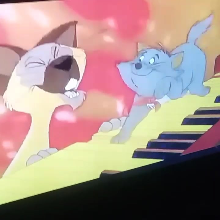 Fortune Cookie Always Wrong! on Vimeo