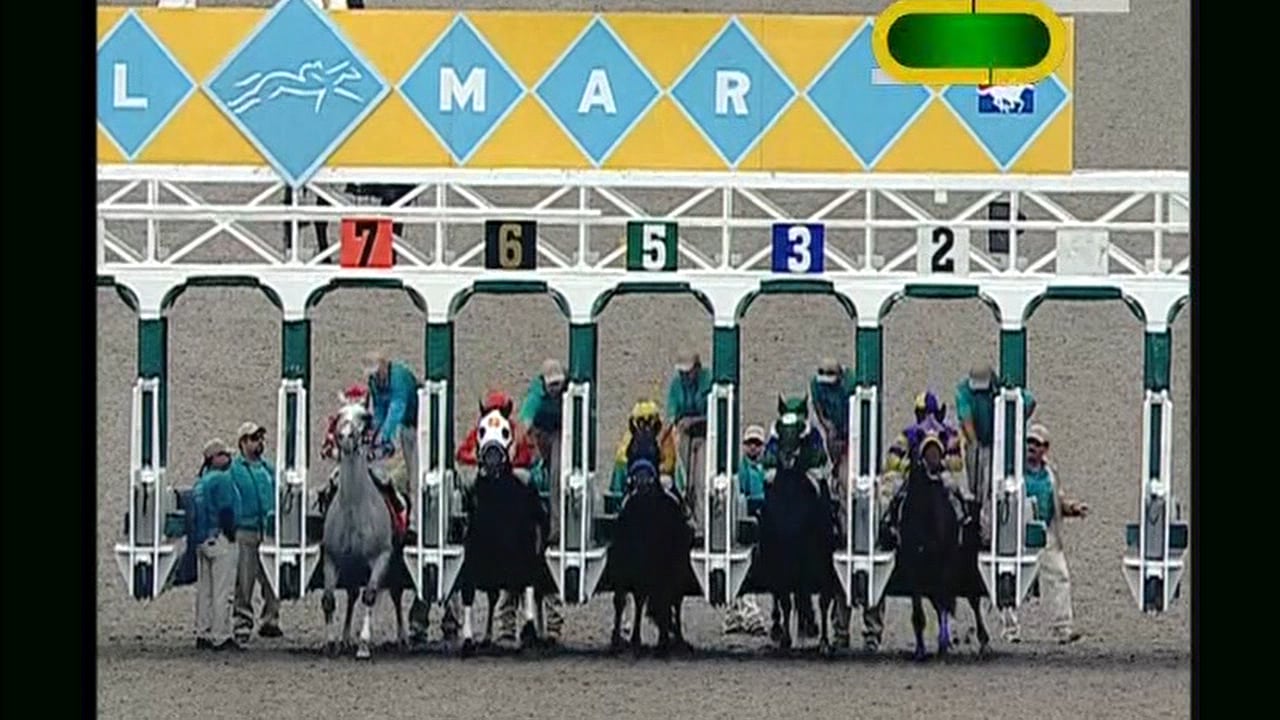 Temple City | 2010 Cougar II Handicap G3