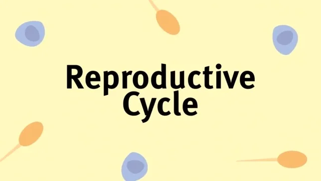 Reproductive cycle