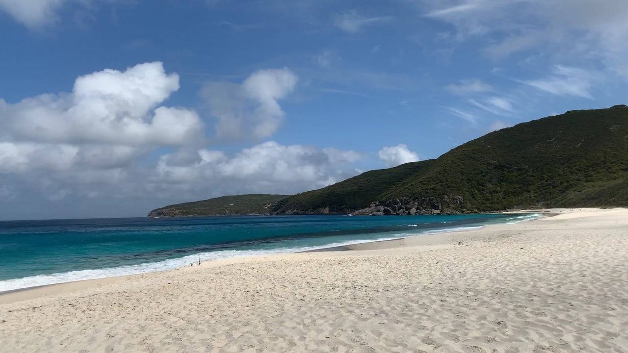 Shelley Beach