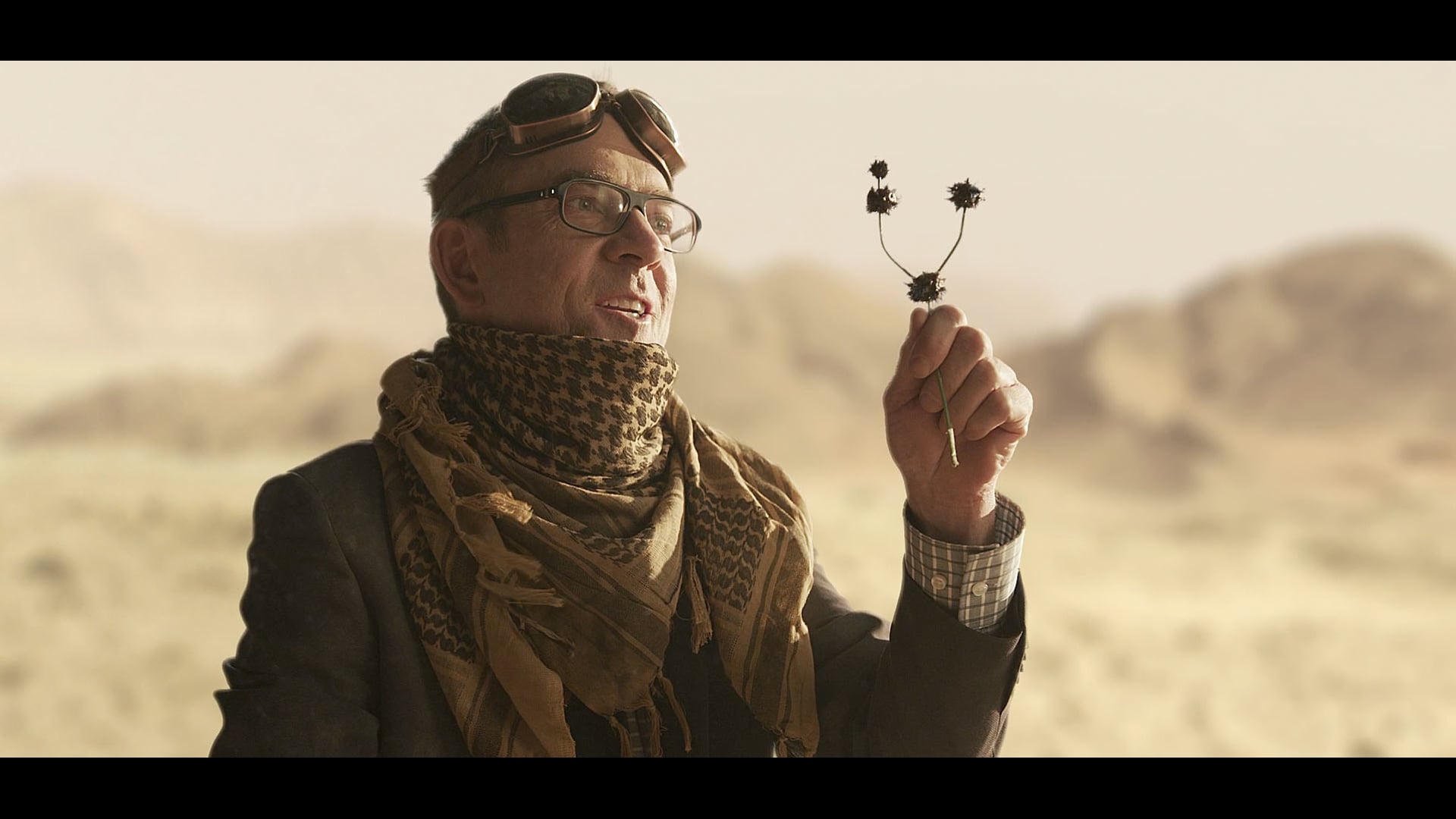 Chopped TV15 "Dusty Desert"