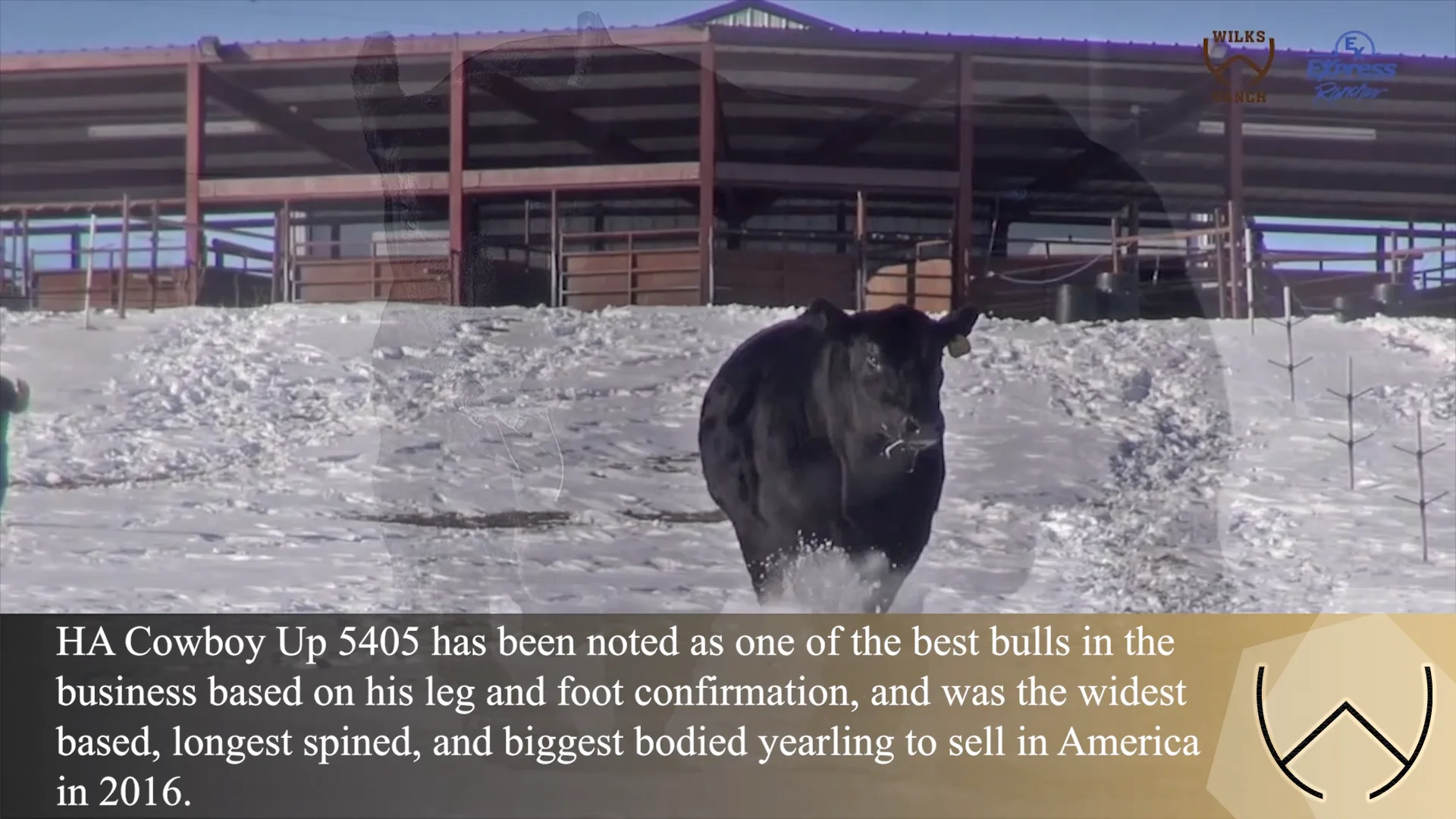 Wilks Ranches - NCBA Booth Video on Vimeo