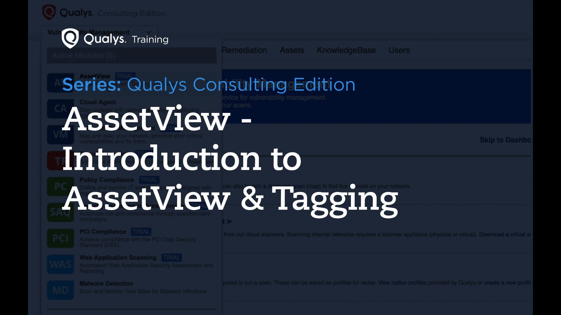 AssetView - Qualys Consulting Edition