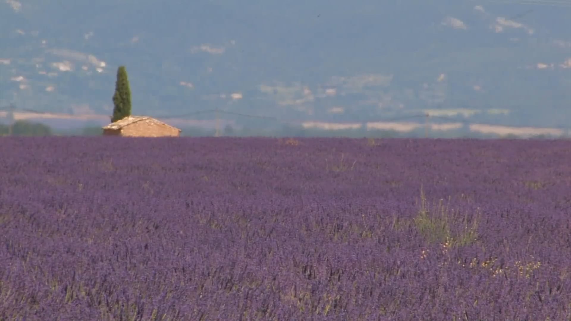 Provence