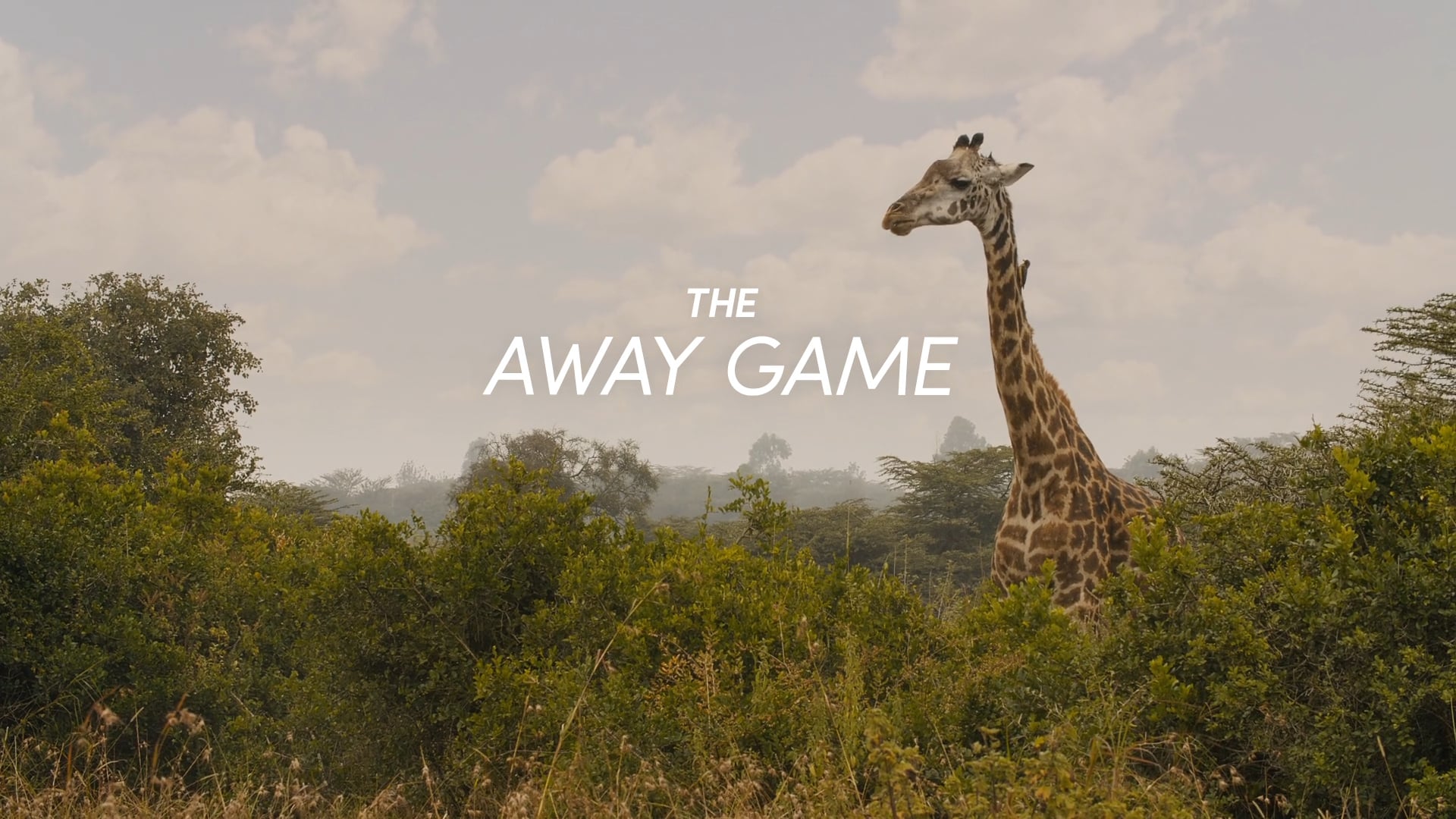 The Away Game - Tim Horton