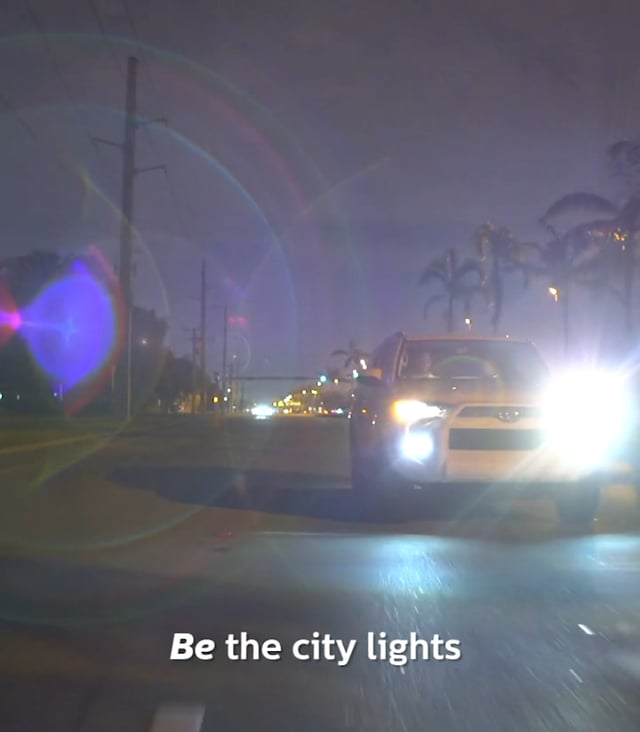 City Lights