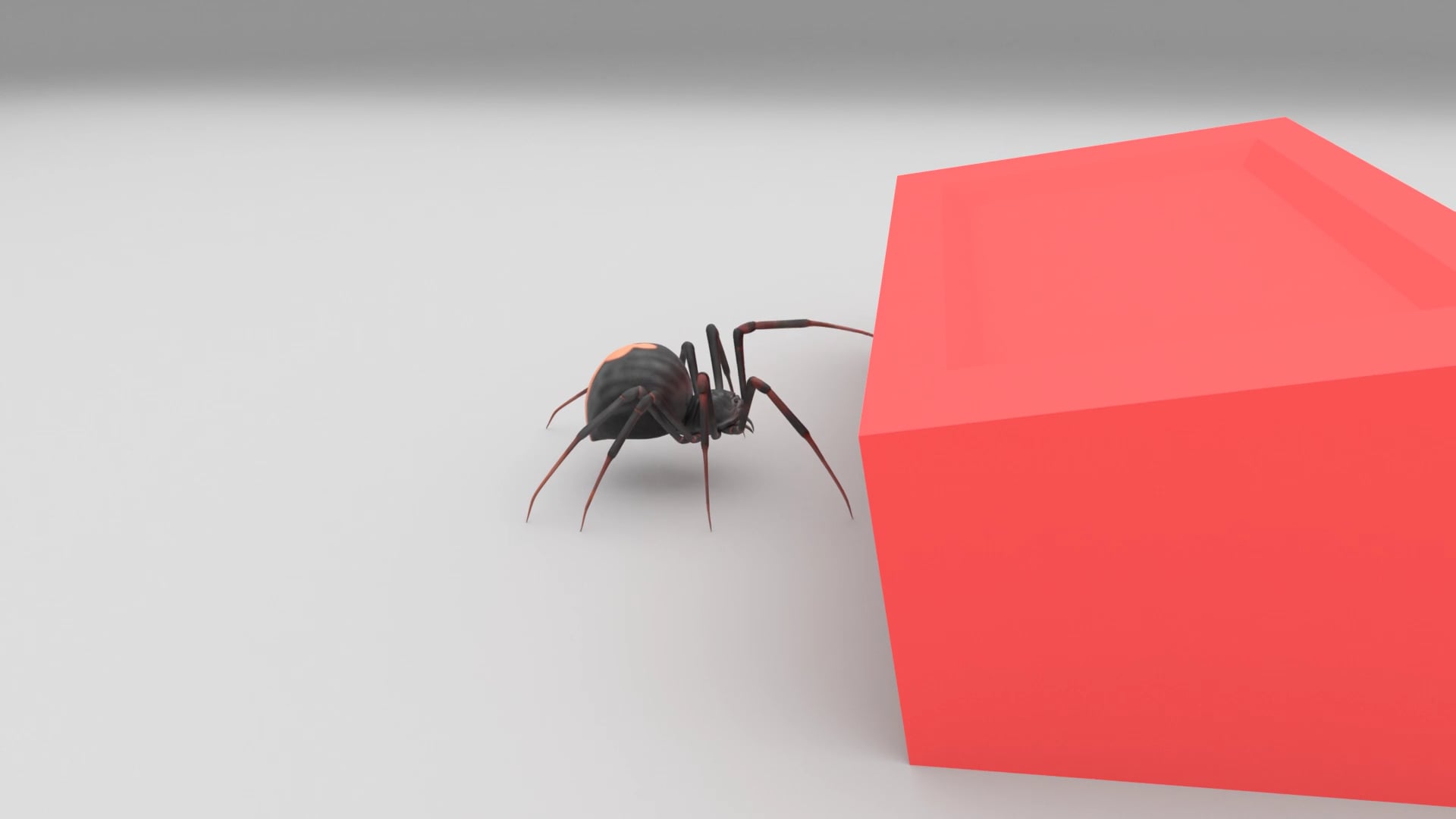 Spider Rig Animation