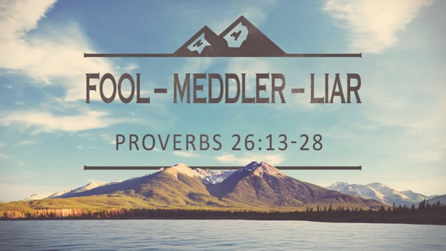 Fool – Meddler – Liar - PRO 26