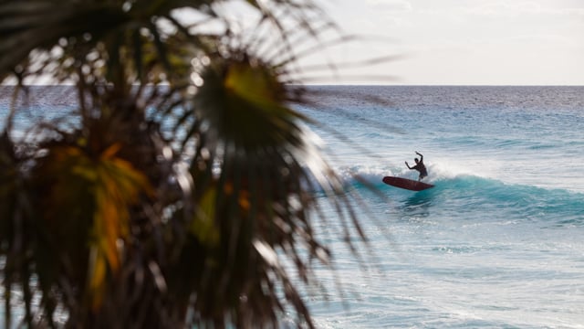 SIGHT SOUND from Mikey DeTemple