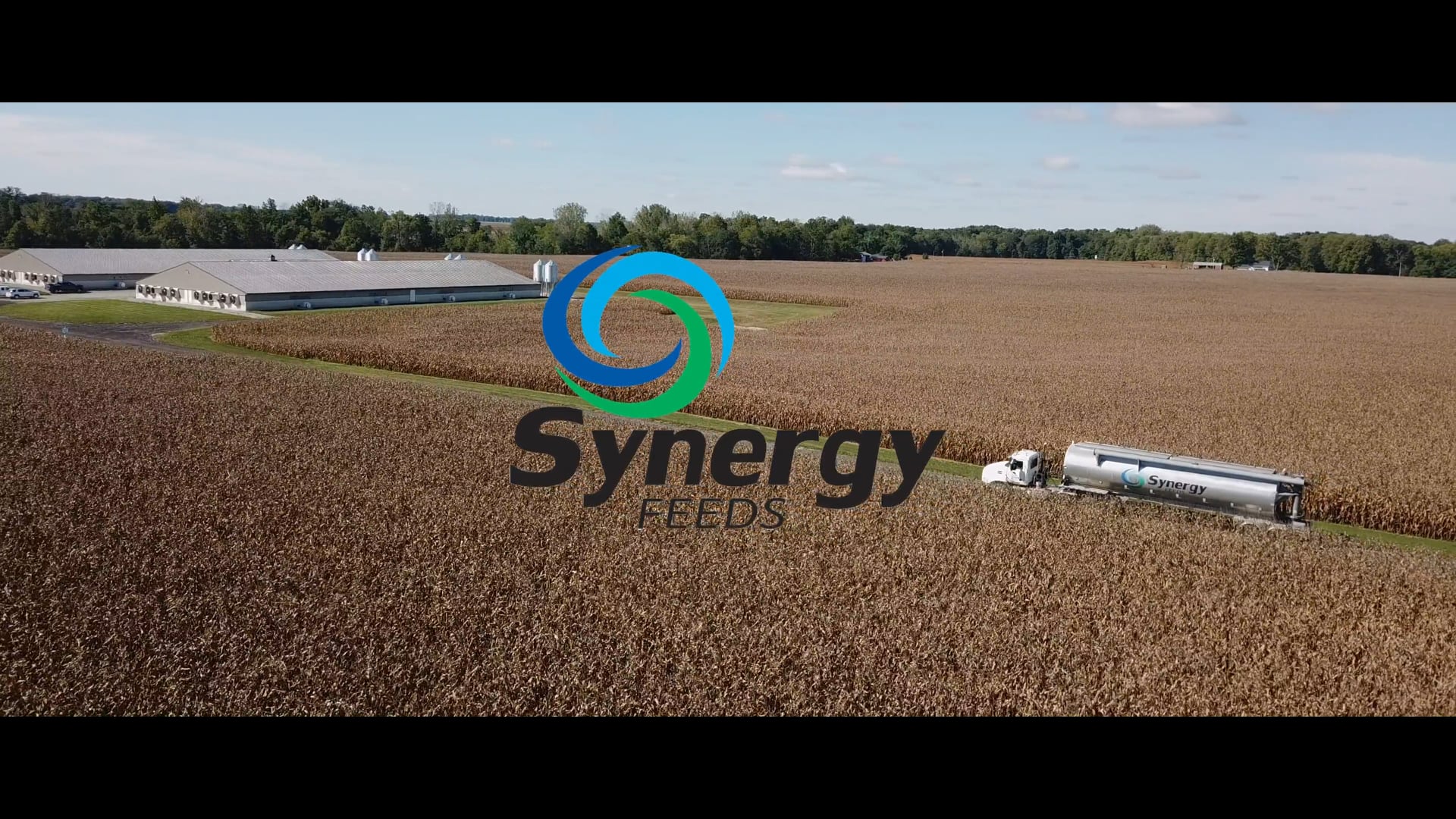 Synergy Feeds